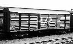 © Rob O'Regan, 1976