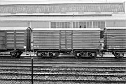 © Rob O'Regan, 1976