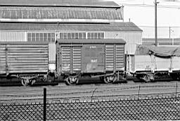 © Rob O'Regan, 1976