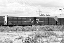 © Rob O'Regan, 1976