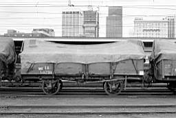 © Rob O'Regan, 1976