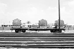 © Rob O'Regan, 1977