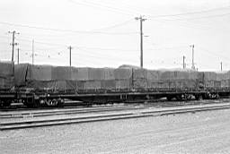 © Rob O'Regan, 1977