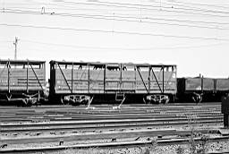 &copy; Rob O'Regan, 1977