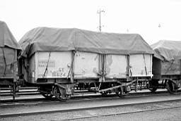 © Rob O'Regan, 1977