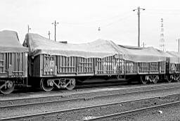 &copy; Rob O'Regan, 1977