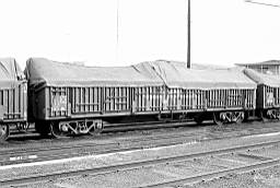 © Rob O'Regan, 1977