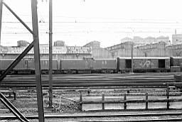 © Rob O'Regan, 1977