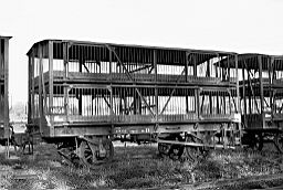 © Rob O'Regan, 1978