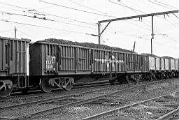 © Rob O'Regan, 1978