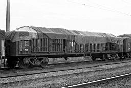 © Rob O'Regan, 1978