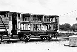 &copy; Rob O'Regan, 1979