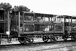 &copy; Rob O'Regan, 1979