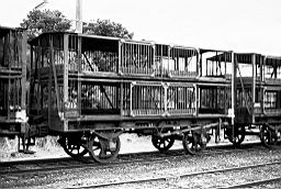 &copy; Rob O'Regan, 1979