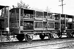 &copy; Rob O'Regan, 1979