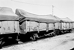 © Rob O'Regan, 1979