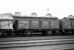 © Rob O'Regan, 1979