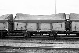 &copy; Rob O'Regan, 1979