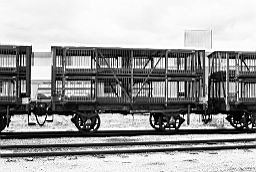 &copy; Rob O'Regan, 1979