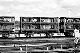 &copy; Rob O'Regan, 1979