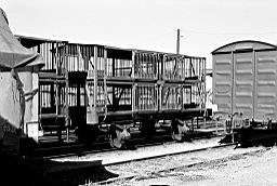 © Rob O'Regan, 1979