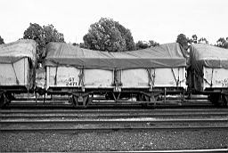 © Rob O'Regan, 1979