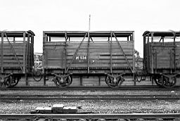 © Rob O'Regan, 1979