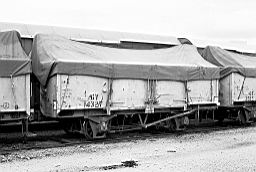 © Rob O'Regan, 1979