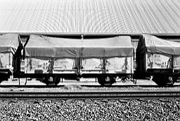 © Rob O'Regan, 1979