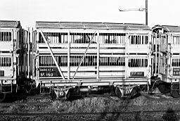 © Rob O'Regan, 1979