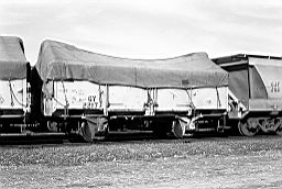 © Rob O'Regan, 1979