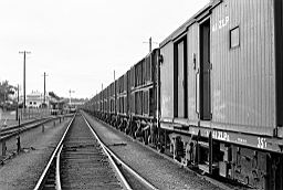 © Rob O'Regan, 1979