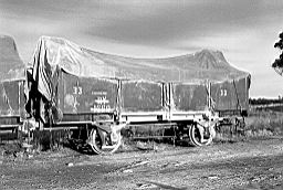 &copy; Rob O'Regan, 1979