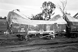 &copy; Rob O'Regan, 1979