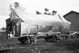 &copy; Rob O'Regan, 1979