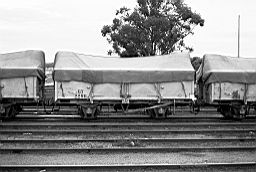 © Rob O'Regan, 1979