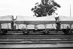 © Rob O'Regan, 1979