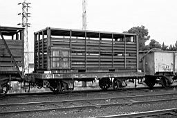 &copy; Rob O'Regan, 1979