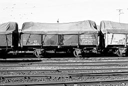 © Rob O'Regan, 1979