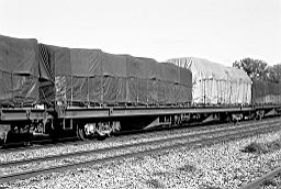 © Rob O'Regan, 1979