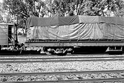 © Rob O'Regan, 1979