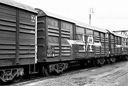 © Rob O'Regan, 1979