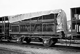 © Rob O'Regan, 1979