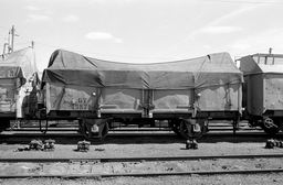 © Rob O'Regan, 1979