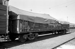 © Rob O'Regan, 1979