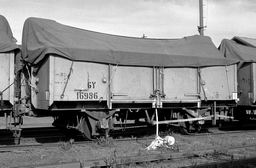 © Rob O'Regan, 1979