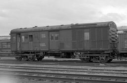 © Rob O'Regan, 1979