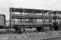 © Rob O'Regan, 1979