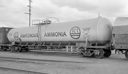 © Rob O'Regan, 1979